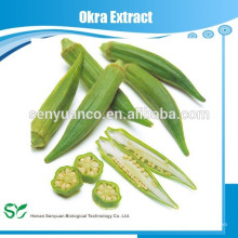 Naturpulver-Okra-Saatgut-Extrakt